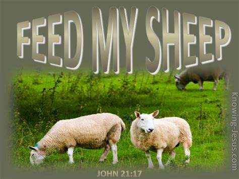 feed my flock bible verse.